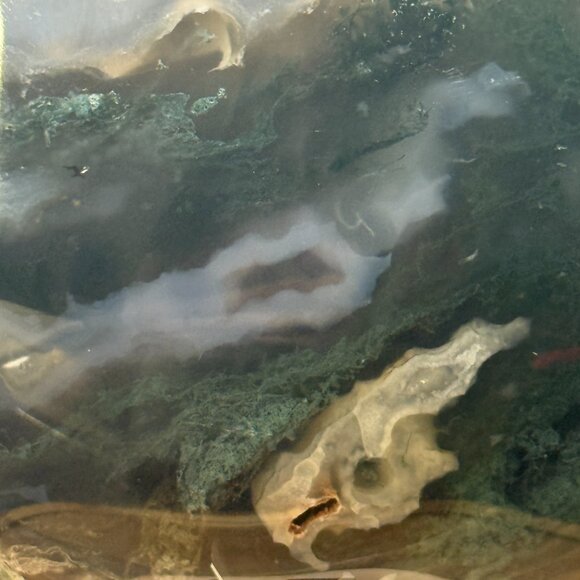 Rare Moss Agate Tear Drop Druzy Crystal 6lbs 5oz Earth Land Water Natural Geode - Picture 8 of 14